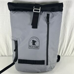 Call Of The Wild Ashbury Cooler Backpack Special Olympics Polar Plunge Gray